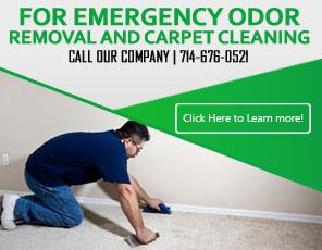 Carpet Cleaning Huntington Beach Infographic