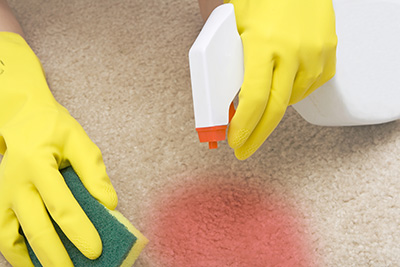 Getting Carpet Stain Removal Services